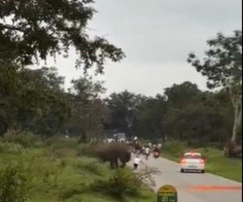 Cinesamugam